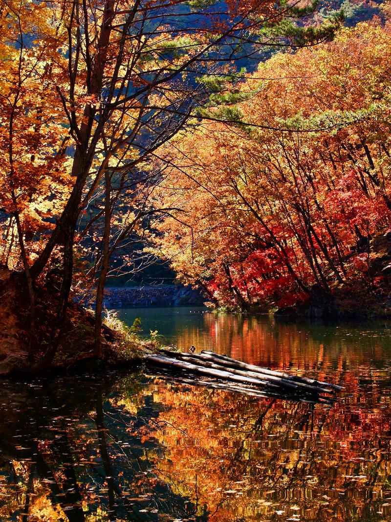 五彩斑斓的秋天美景