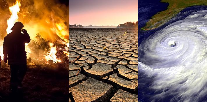 全球变暖的影响是什么