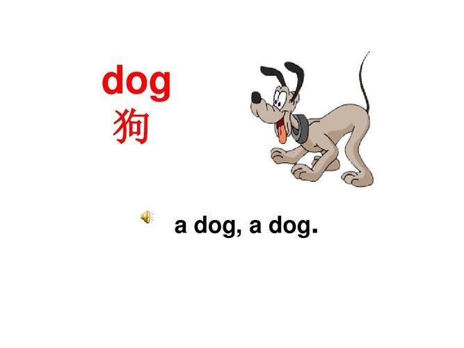 小狗英语怎么说dog