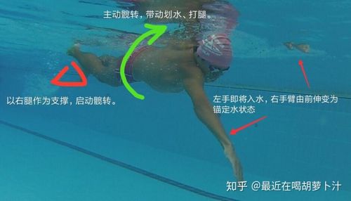 自由泳打腿方法与技巧