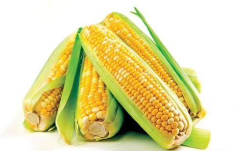 玉米作用的相关图片